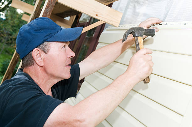 Best Stucco Siding  in Millington, TN